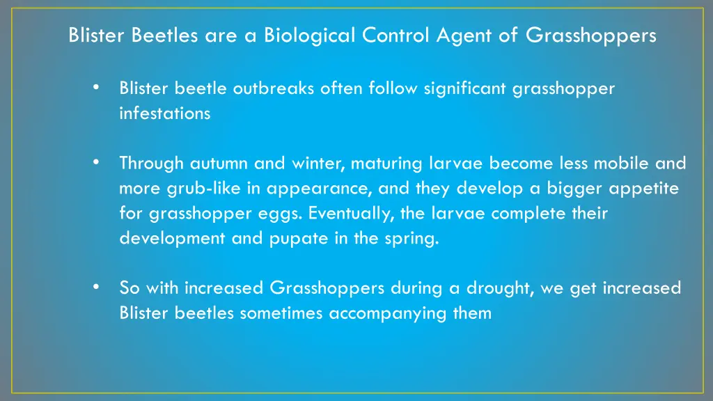 blister beetles are a biological control agent