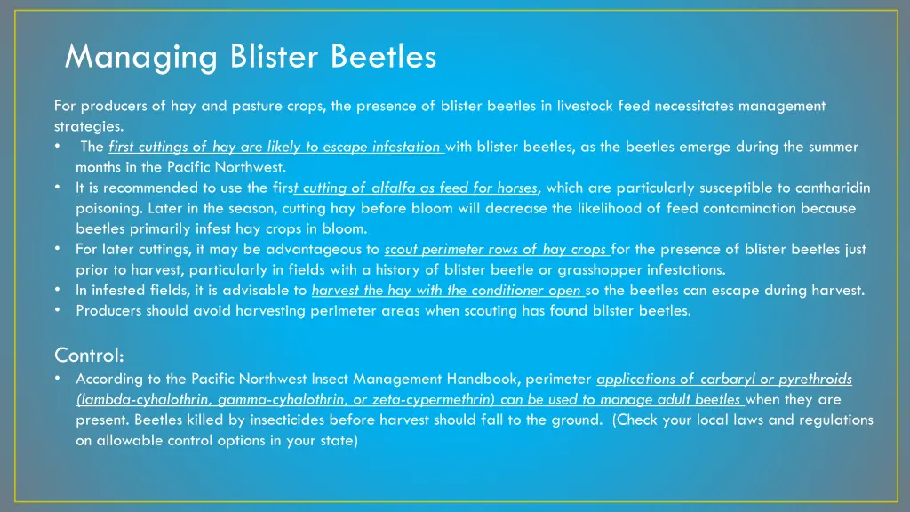 managing blister beetles