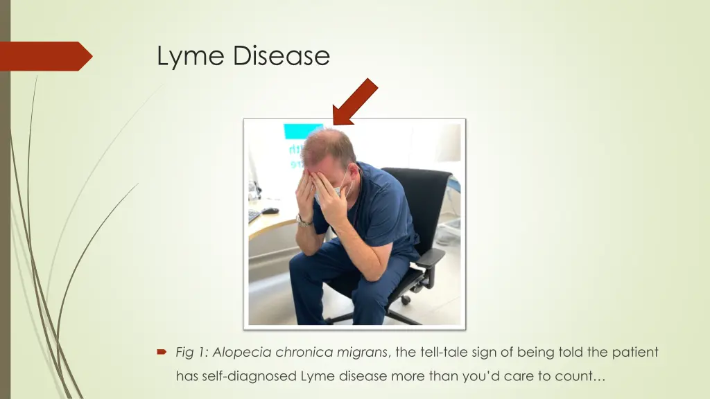 lyme disease