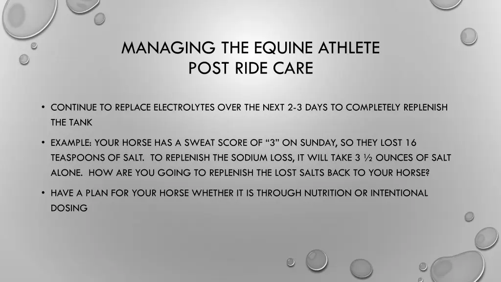 managing the equine athlete post ride care