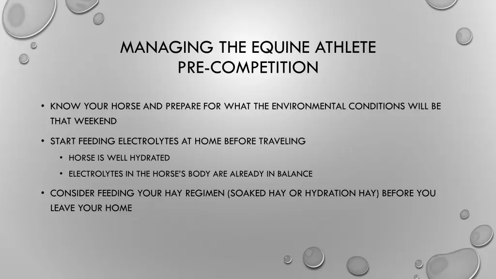 managing the equine athlete pre competition