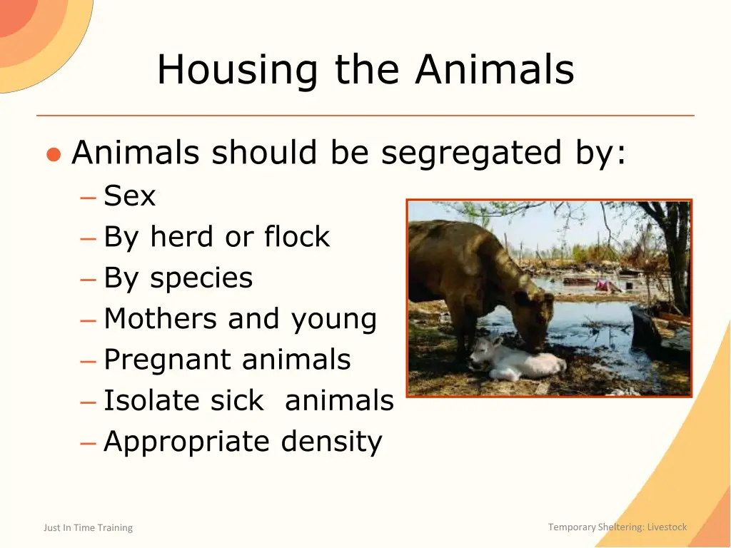 housing the animals