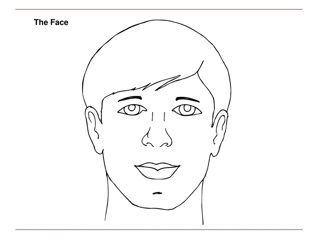 the face