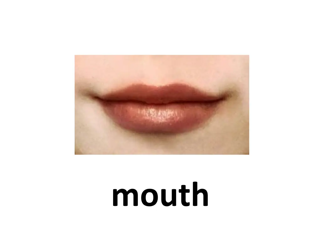 mouth