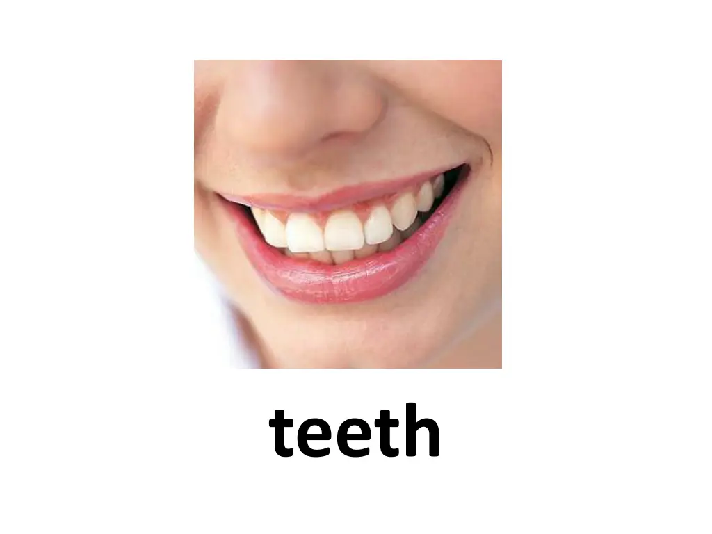 teeth