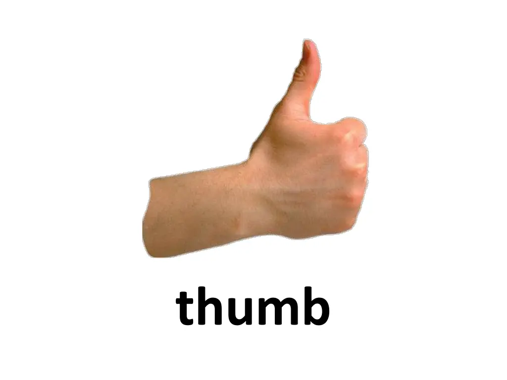 thumb