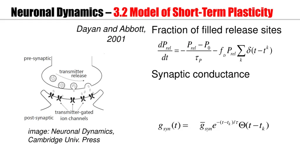 neuronal dynamics 3 2 model of short term