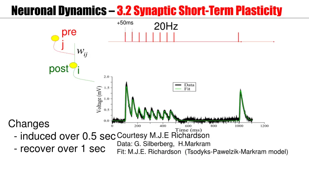 neuronal dynamics 3 2 synaptic short term 2