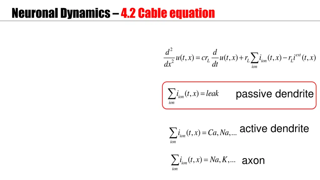 neuronal dynamics 4 2 cable equation 1