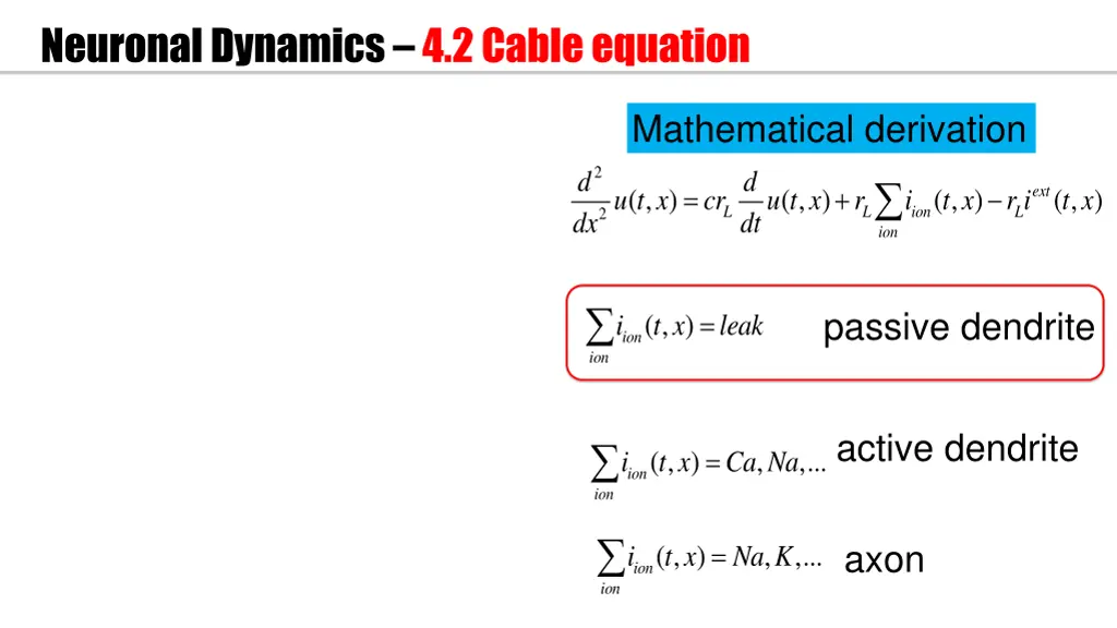 neuronal dynamics 4 2 cable equation 2