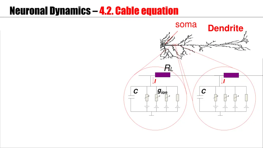 neuronal dynamics 4 2 cable equation