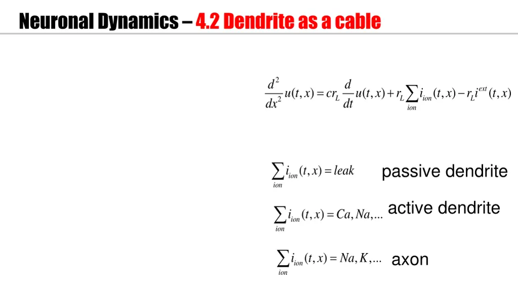 neuronal dynamics 4 2 dendrite as a cable