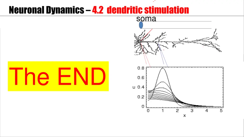 neuronal dynamics 4 2 dendriticstimulation 1