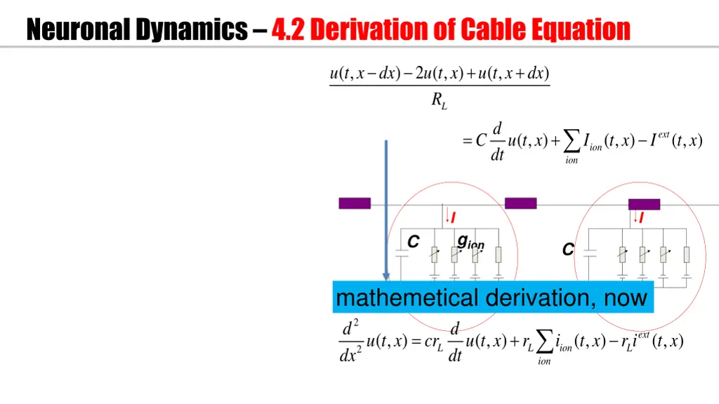 neuronal dynamics 4 2 derivation of cable equation