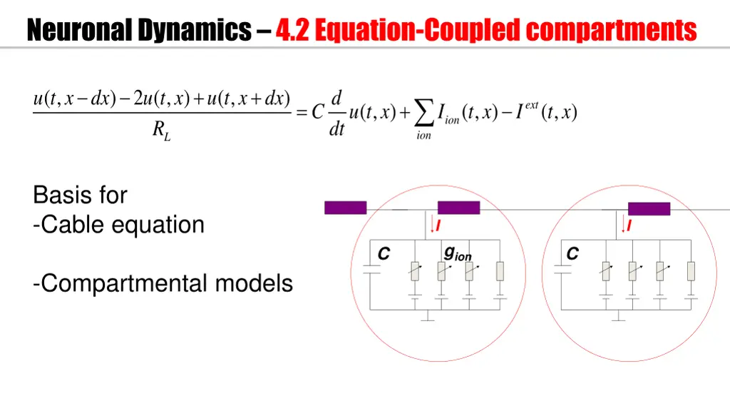 neuronal dynamics 4 2 equation coupled