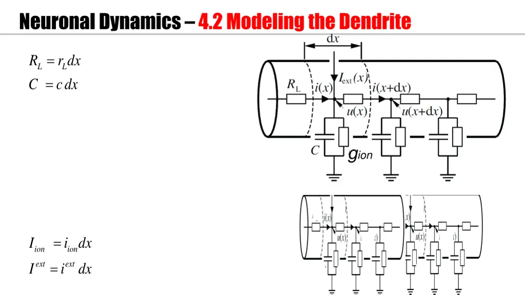 neuronal dynamics 4 2 modeling the dendrite