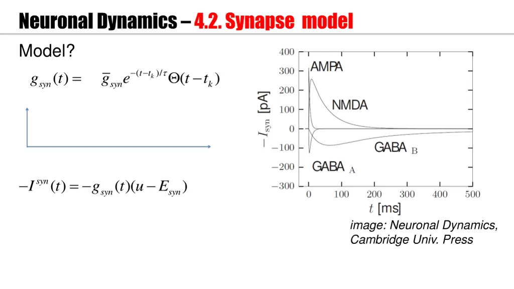 neuronal dynamics 4 2 synapse model model