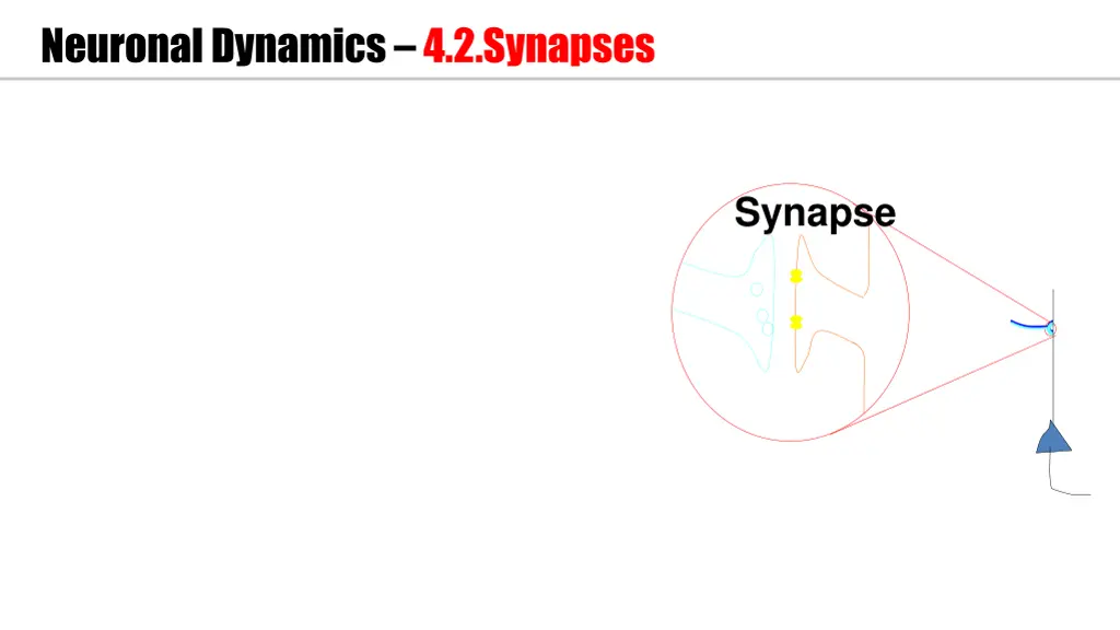 neuronal dynamics 4 2 synapses 4