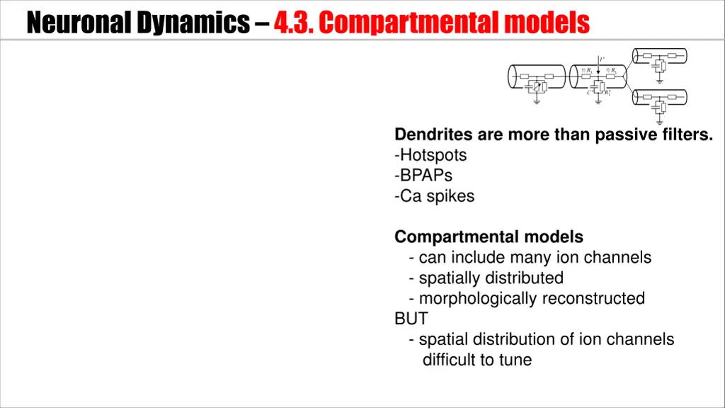 neuronal dynamics 4 3 compartmental models 2