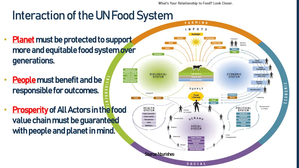 interaction of the un food system