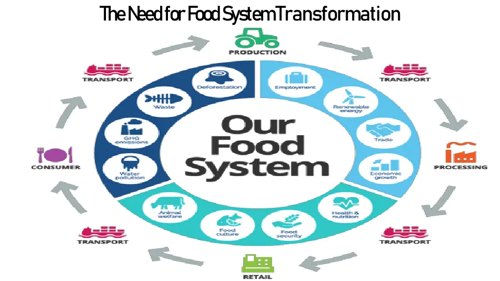 the n eed for food system transformation