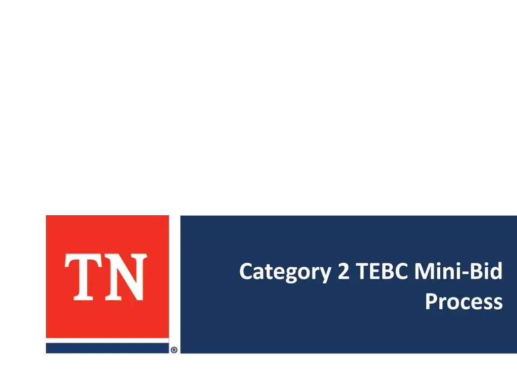 category 2 tebc mini bid