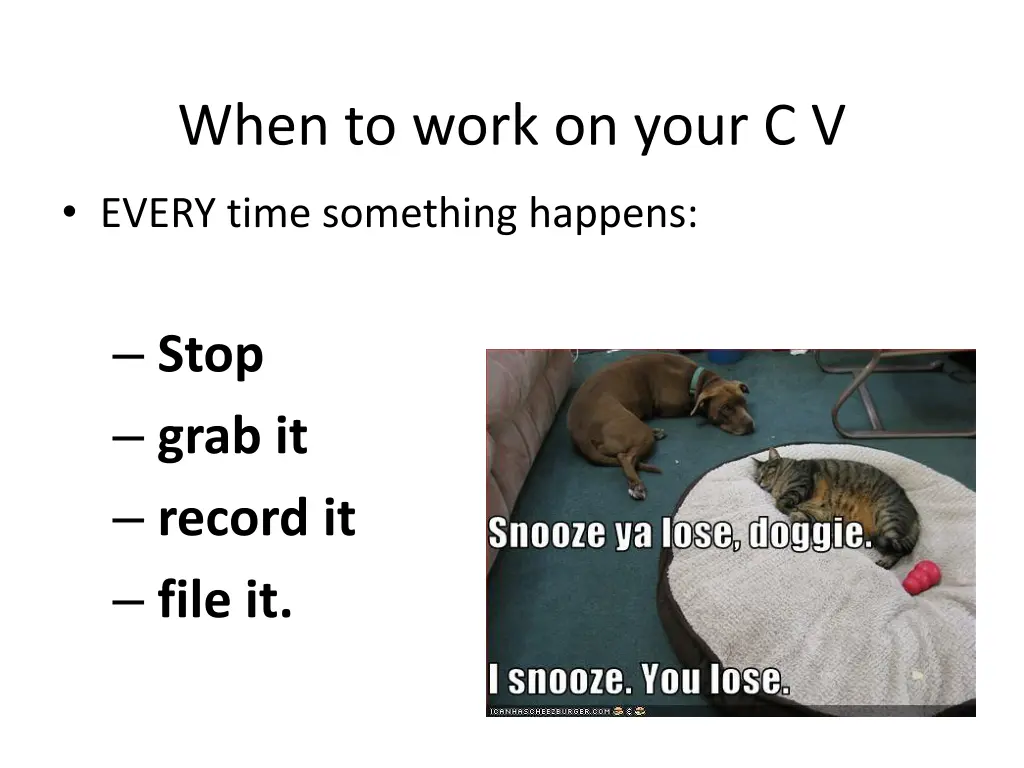 when to work on your c v