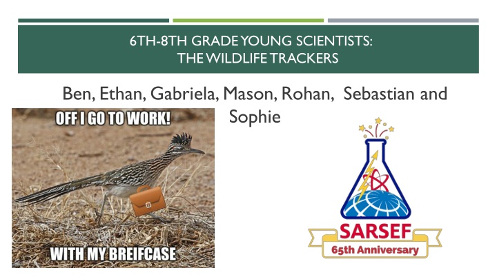 6th 8th grade young scientists the wildlife