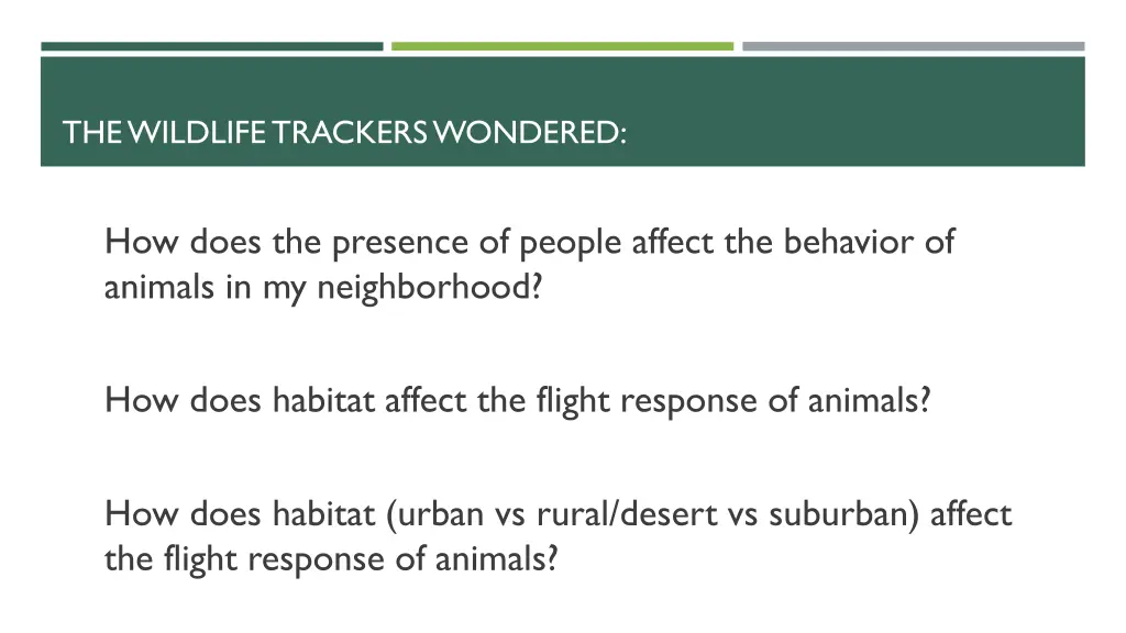 the wildlife trackers wondered