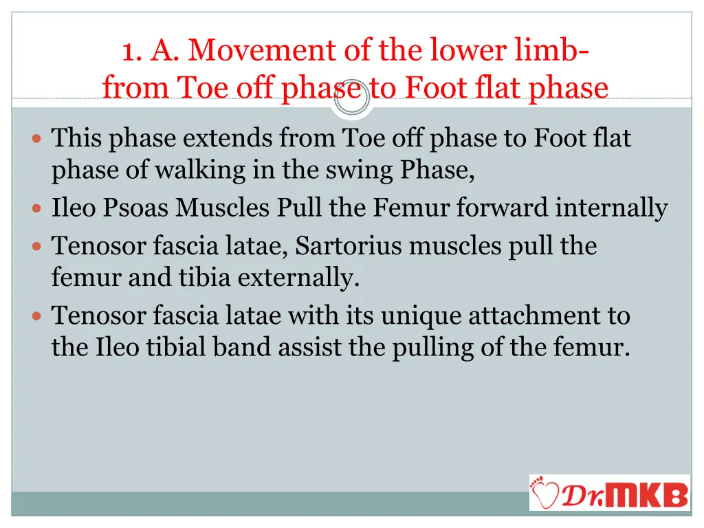 1 a movement of the lower limb from toe off phase