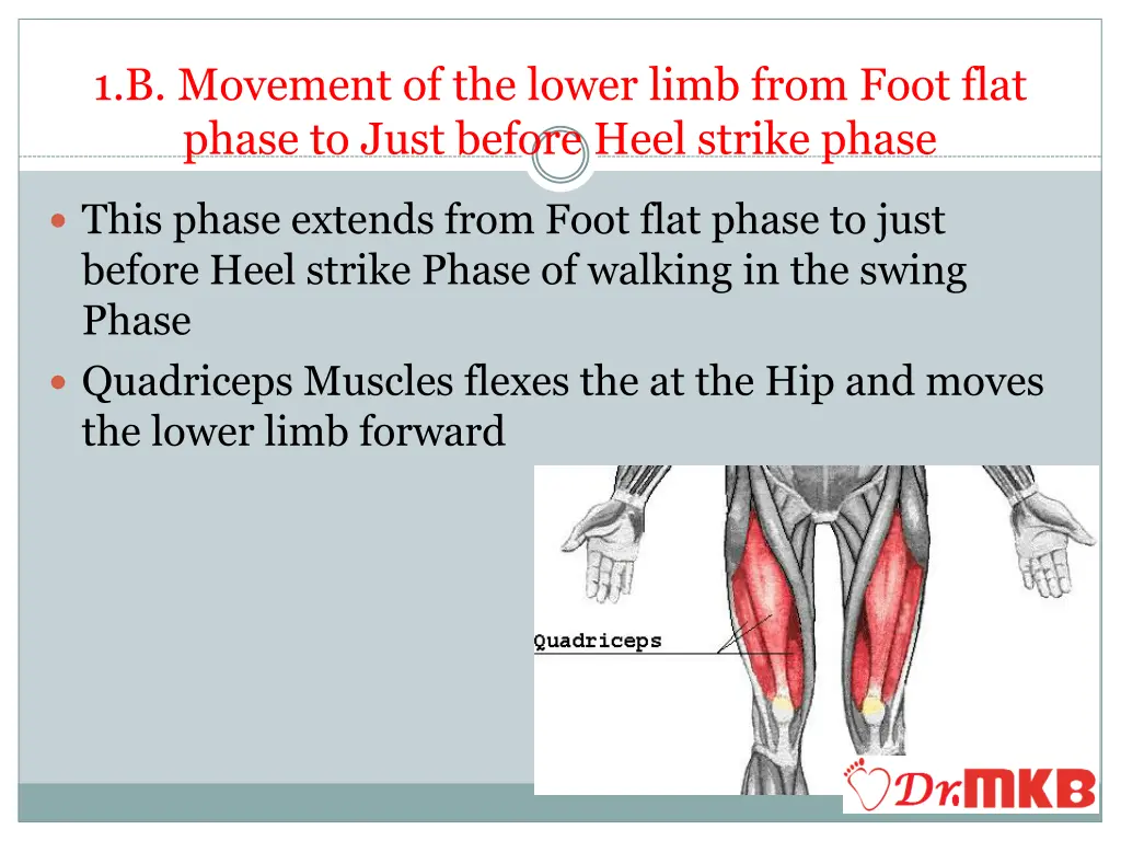 1 b movement of the lower limb from foot flat