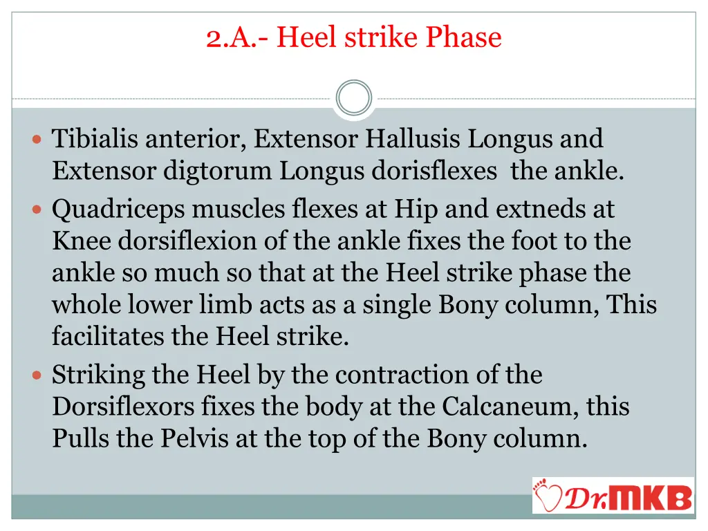 2 a heel strike phase