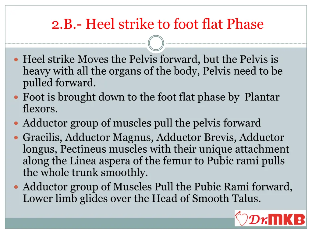 2 b heel strike to foot flat phase