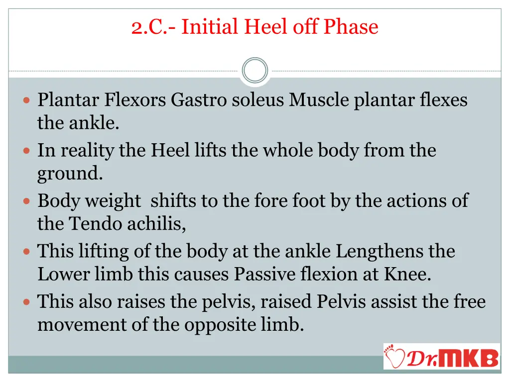 2 c initial heel off phase