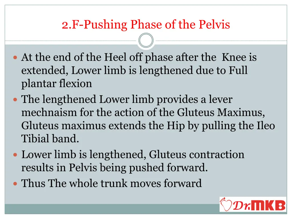 2 f pushing phase of the pelvis