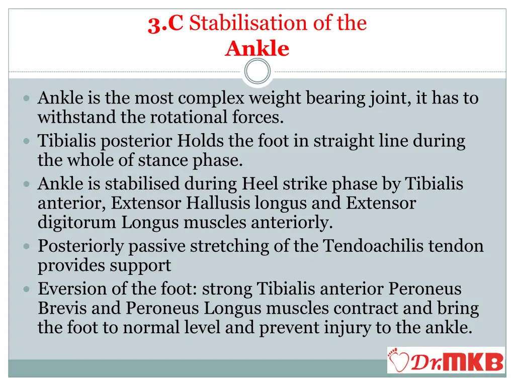 3 c stabilisation of the ankle