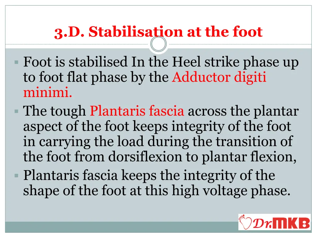 3 d stabilisation at the foot