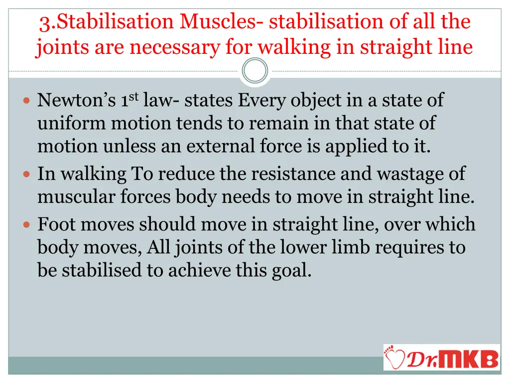 3 stabilisation muscles stabilisation