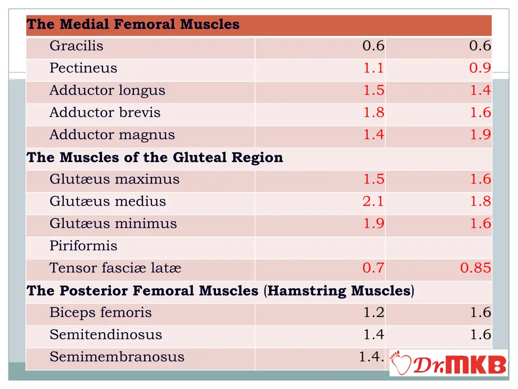 the medial femoral muscles gracilis pectineus