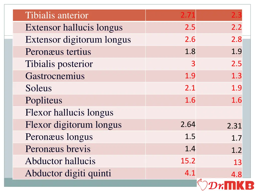 tibialis anterior extensor hallucis longus