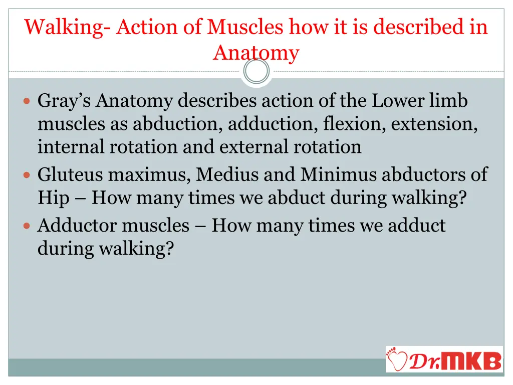 walking action of muscles how it is described