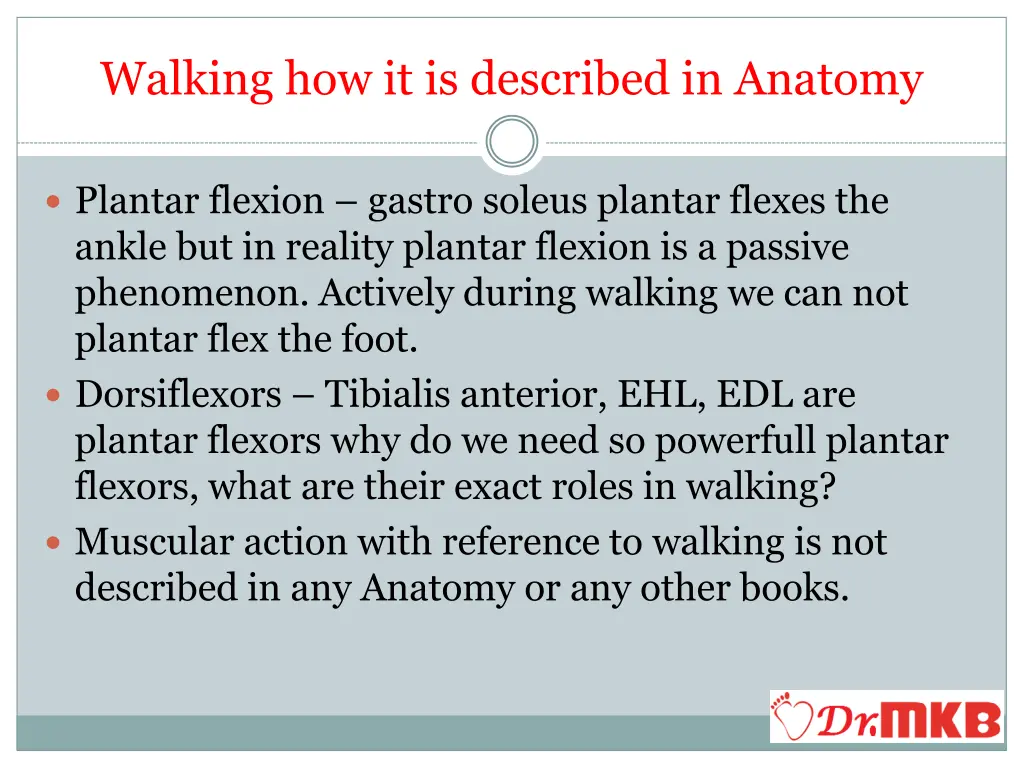 walking how it is described in anatomy