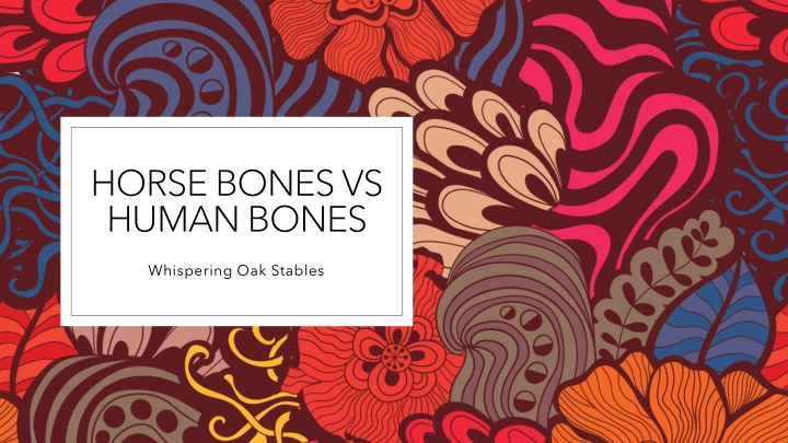 horse bones vs human bones