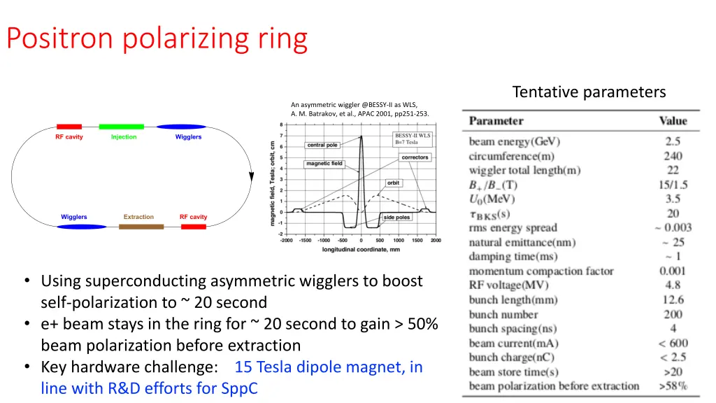 positron polarizing ring