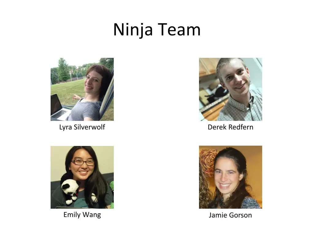 ninja team