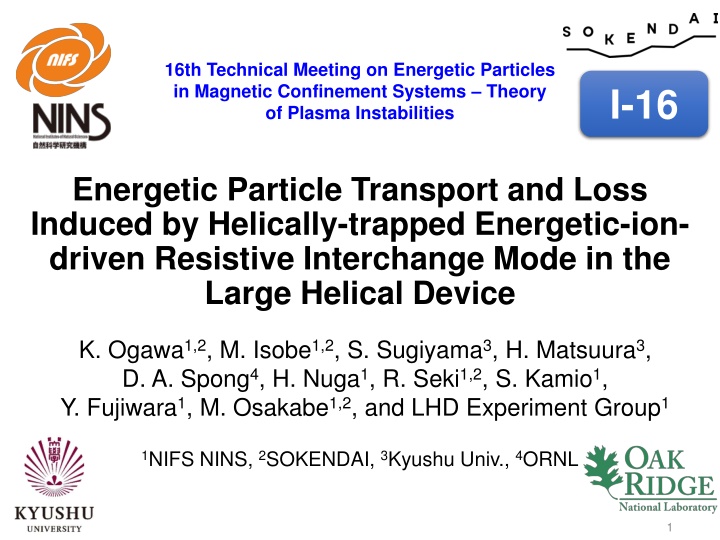 16th technical meeting on energetic particles