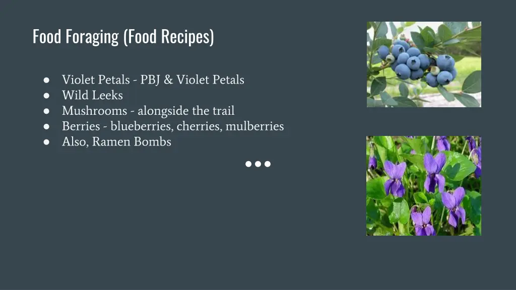 food foraging food recipes