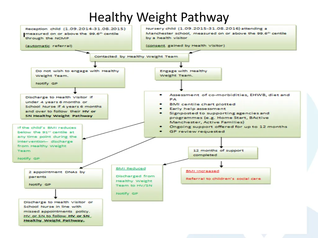 healthy weight pathway