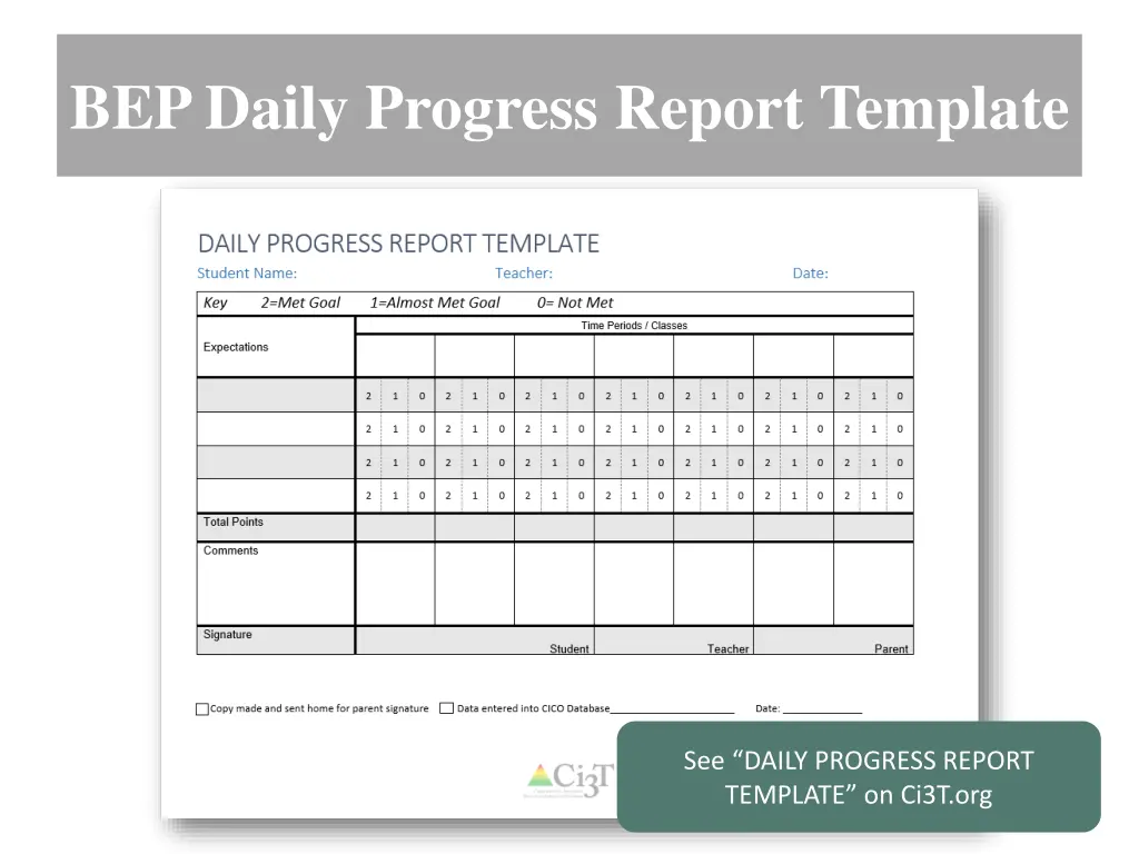 bep daily progress report template