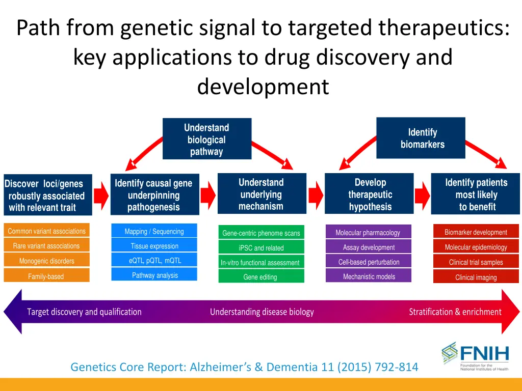 path from genetic signal to targeted therapeutics